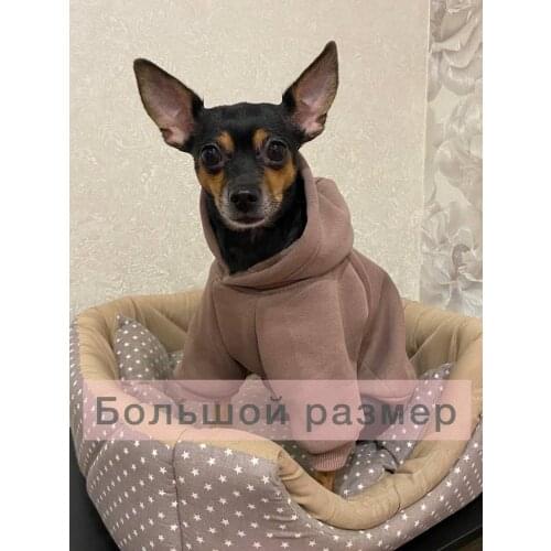 Кофты для собак WOOLBERRY China At AliExpress