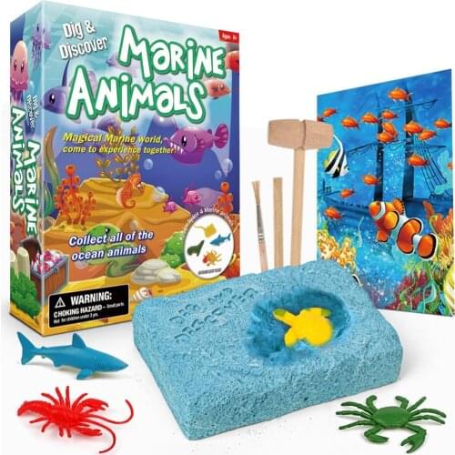 Kids Simulation Marine Animals Dig Excavation Kit Archaeological Educational Toy Teaching supplies For Babies