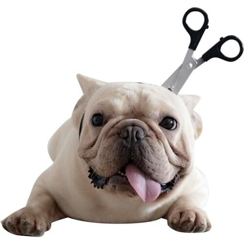 Pet Funny Headband Halloween Pet Dress Up Headband Funny Dog Headwear Party Costume Hair Accessories For Dogs Puppies Kittens