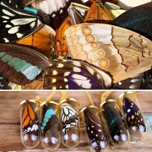 20pcs real butterfly wings,3D Butterfly specimens wings,Real Dried Moth butterflies wings for ring/earrings/necklace