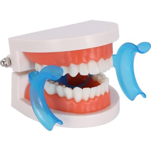 10 Pcs/Bag M Type Mouth Opener Cheek Retractor Professional Dental Supplies Dental Intraoral Support