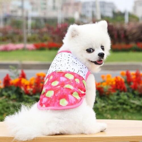 Cute Fruit Pet Spring Summer Clothes Pet Dog Vest Cat Clothes Dog Clothes Breathable Pet Costume