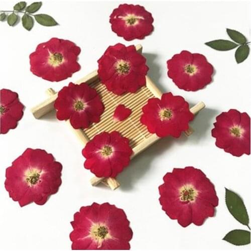 Rose Natural Decorative Pressed Dried Flower for DIY Candle Making Supplies Wax Tablet Decor Material Handmade