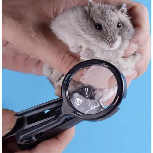 HobbyLane Small Pet Nail Clipper with Magnifying Glass for Hamster Hedgehog Chinchilla Guinea Pig