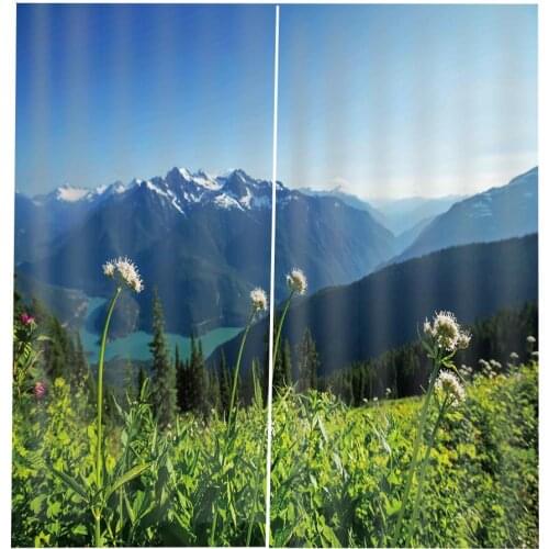 Sports curtains green curtain Bedroom 3D Window Curtain Luxury living room decorate Cortina