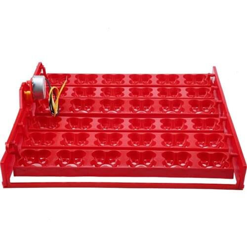 36 Eggs/144 Bird Eggs Incubator Hatcher Automatic Egg Turning Tray Tool 220V and 110Vmotor