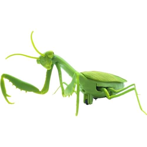 Mini Plastic Insect Bugs Model Action Figure Kids Toy Jungle