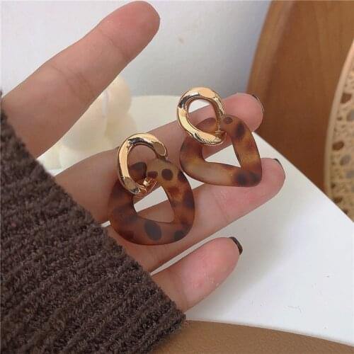 Leopard Print Earrings Fashion Resin Earrings Chain INS Simple Cool Fashion Quality Earrings female trend