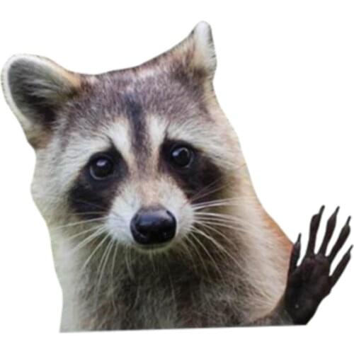 Personality 3D Raccoon Vinyl Waterproof Car Window High Quality Accessories Vinyl Motorcycle Decorative PVC 13cm X 11cm
