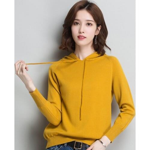 2019 New Autumn Winter Women Pullovers Sweaters Long Sleeve Casual Short Slim Jumper Knitted Sweater Hooded Pull Femme R371