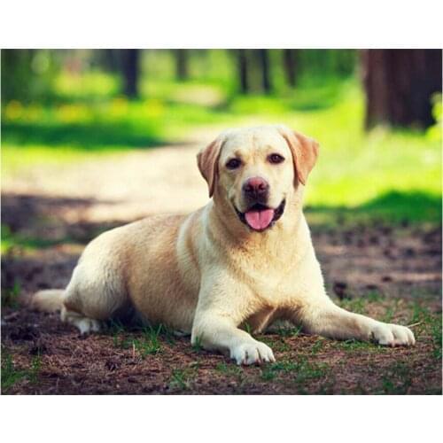 Full Round Rhinestones Embroidery Handcraft Cross Stitch Cute animal dog Diy Diamond Painting labrador dog Home Decor