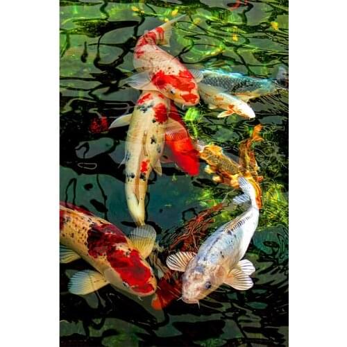 5D DIY Diamond Embroidery Full Display Fish Diamond Painting Cross stitch Full Drill Picture Rhinestone Mosaic Home Decor Gifts