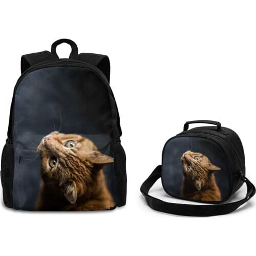 2 Pcs Black Cat School Backpack and Lunch Bag Set Print Cool Backpacks for Kids Children Book Bag Insulation Cooler Lunch Bags