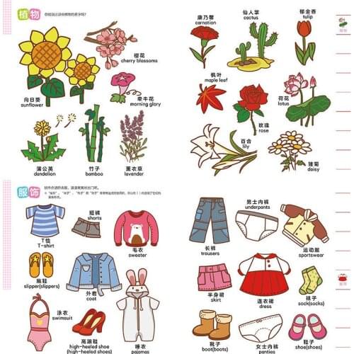 Cognitive Encyclopedia book Chinese and English bilingual Picture book 0-4 years old children education the book sets in english