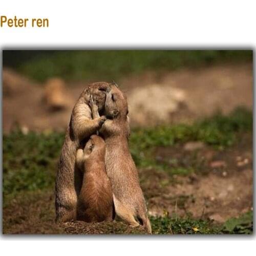 Peter ren Diy diamond painting cross stitch Diamond embroidery 3d square drill rhinestone full Needlework Sea otters rat family