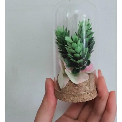 2sets/pack 5*10cm Mini Glass Dome Home Wedding Decoration Diameter=5cm Height=10cm Glass Cover Vase Friend Gift