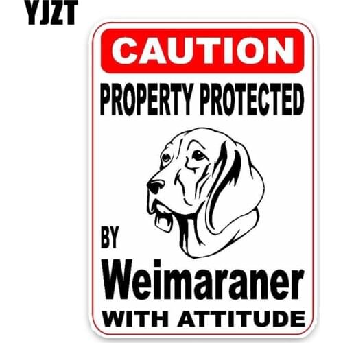 YJZT 10*14.2CM Property Protected By Weimaraner Dog Car Bumper Car Sticker C1-4412