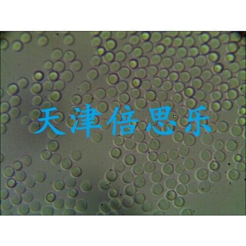 5 Micron Chromatographic Silica Gel/ Spherical Chromatographic Silica Gel/5 Micron Packing/chromatography/5 Micron Spherical