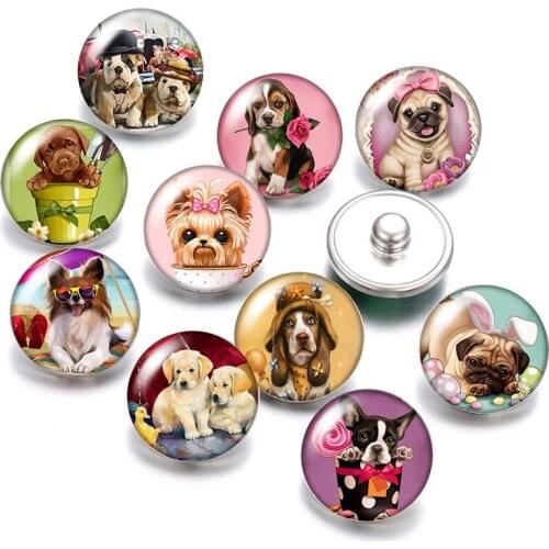 DB0561 Lovely Dogs Pets cute 18mm snap buttons 10pcs mixed round photo glass cabochon style for snap button jewelry