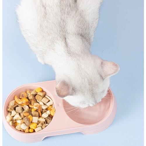 Double Cat Bowl Pet Small Dog Bowls Travel Outdoor Plastic Easy Clean Food Water Plate Drinking Feeder Pets Dish Puppy Suppliers