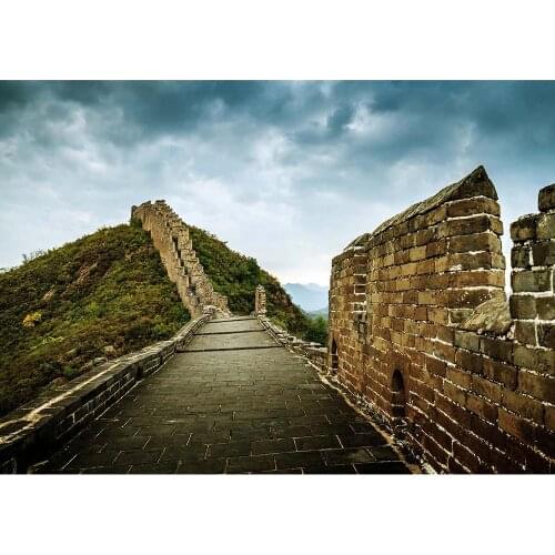 Great Wall Mountain Trees Photography Backdrop Vinyl Cloth Backgrounds for Children Baby Portrait Scenery Photocall Photo Studio