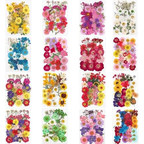 Real Dried Flower Dry Plants for Aromatherapy Candle Epoxy Resin Fillings Pendant Necklace DIY Craft Jewelry Making Accessories