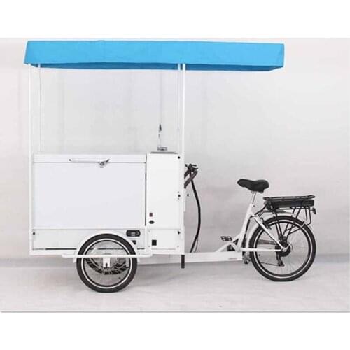 Mobile Electric Ice Cream Cargo Bike Adult Tricycle Outdoor Three Wheels Drink Snack Food Vending Cart