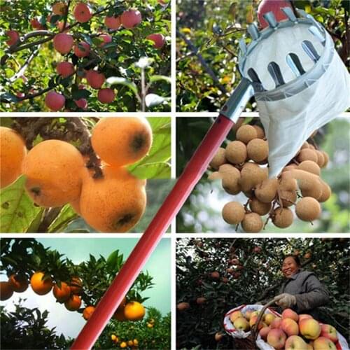 Fruit Picker Convenient Horticultural Fruit Picker Extract Pulldownandbrea Gardening Apple Peach Picking Easy To UseTools