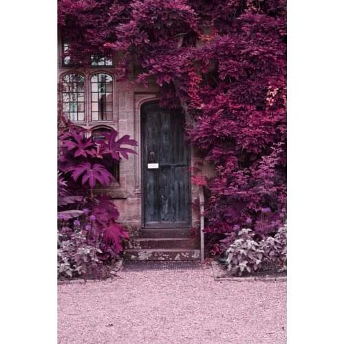 Vinyl Photography Background Computed Printed Vintage Wooden Door Children Backgrounds for Photo Studio F-2591