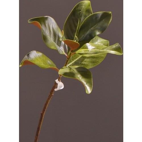 MBF 73cm Eva High Quality Artificial Magnolia Leaves Floral Material DIY For Party Home Decoration