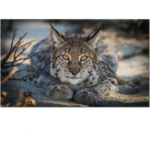 Full square/round 5D Diamond Painting Animal cat tiger DIY Diamond Embroidery Cross Stitch Rhineston Mosaic Home Decor gift P594