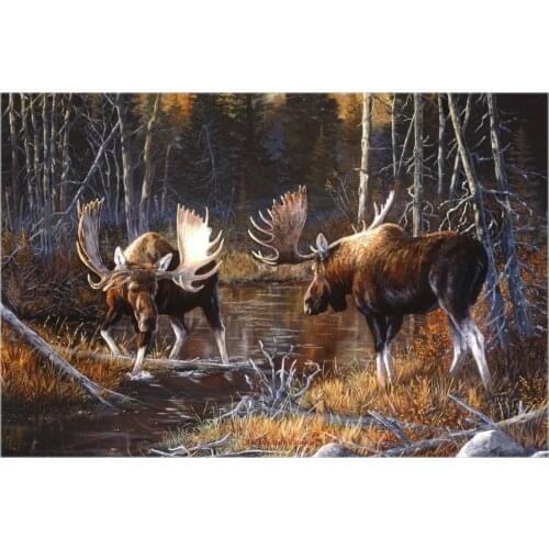 Counted Cross Stitch Kits Needlework Embroidery - Crafts 14 ct Aida DMC Color DIY Arts Handmade Home Decor - Majestic Moose