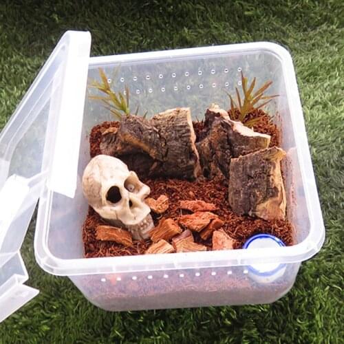 Reptile Terrarium Feeder Breeding Box Tortoise Spider Lizard Beetle Insect House
