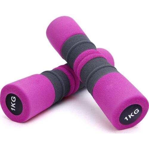 Dumbbell Women A Pairs of Thin Arms and Waist Yoga Fitness Equipment Household Children Exercise Dumbbells