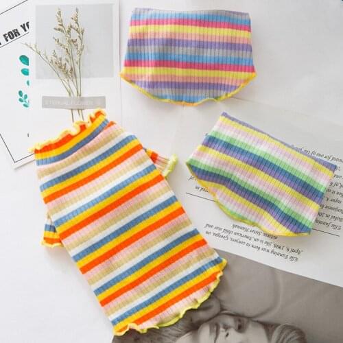 New Puppy Costume Rainbow Striped Dog Clothes Ruffle Collar Female Dogs Shirts Spring Autumn Small Pet Chihuahua Knit Sweater