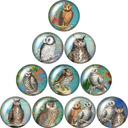 New Vintage Style Owl Hope Birds 10pcs mixed 12mm/16mm/18mm/25mm Round photo glass cabochon demo flat back Making findings