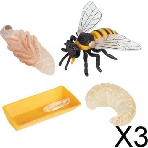 3x4Pcs Assorted Plastic Nature Insect Bee Figures Model Kids Educational Toys