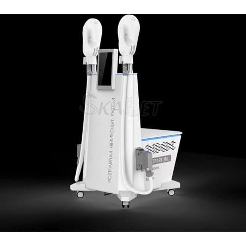 Air Cooling EMS Electromagnetic Muscle Stimulator Fat Removal Weight Loss Muscle Builder EMS Tesla Sculpting Slimming Equipment