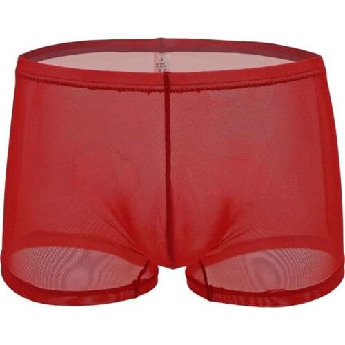 Sexy Men Plus Size Mesh See Through Boxer Transparent Breathable U Convex Pouch Boxer Underwear Gay Wear Low Rise G-string F7