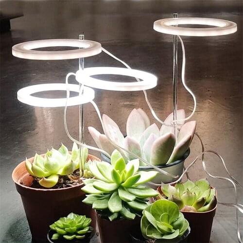 WCIC Professional Lighting