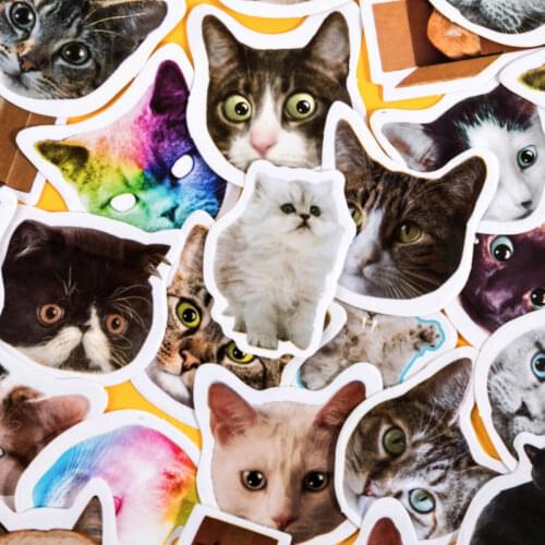 46 sheets/box cat appreciation mini stickers decorative stickers DIY craft diary scrapbook planner kawaii label stickers