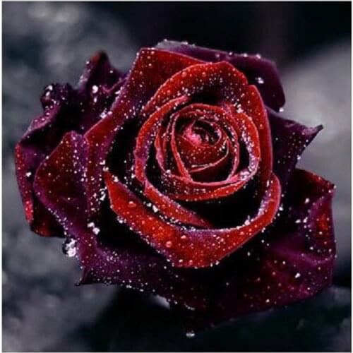 5D Diamond Painting Living Room Full Diamond Rose Paste Diamond Painting Point Diamond Cross Stitch Round Diamond Embroidered