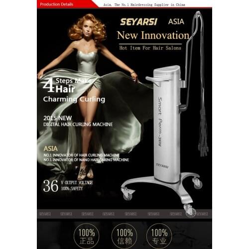 2016 Factory Direct Selling Hair Perming Machine, 36V Output, High Quality, Hairdressing Helper