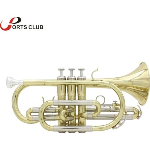 Professional Bb Flat Cornet Brass Instrument with Carrying Case Gloves Cleaning Cloth Brushes