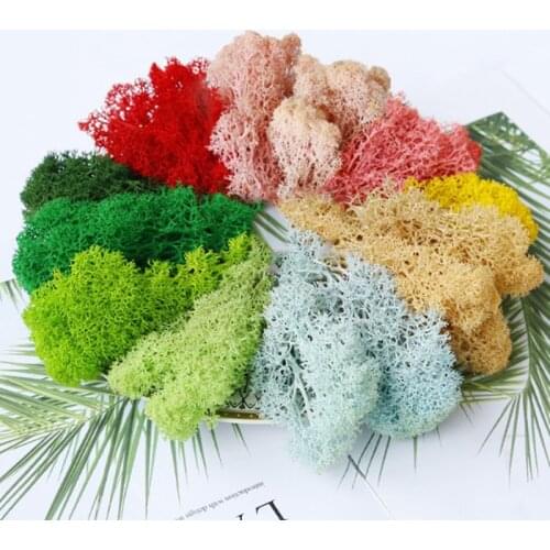 Artificial Moss Immortal Moss Simulation Green Plant Grass DIY Antler Moss Micro Landscape Moss Embellishment Garden Decoration