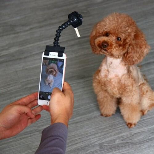 Pet Selfie Stick for Dogs Cat Photography Tools Pet Interaction Toys Concentrate Training Supplies Dog Accessories Lens clip