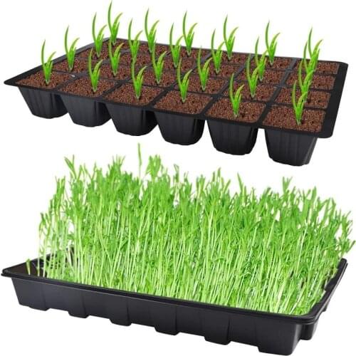 5PCS 24 holes cell Seed Starter Trays Nursery Pots Seedling Tray Humidity Adjustable Switch Garden Accessories plant set Decor