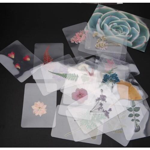 ANGELADY 1PC Mix Pressed Flower Leaves Plant Specimen Fillers for Epoxy Resin Jewelry Making Random Style