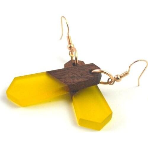 Natural material polygon environmental protection female fashion gift earrings, decorative clothing