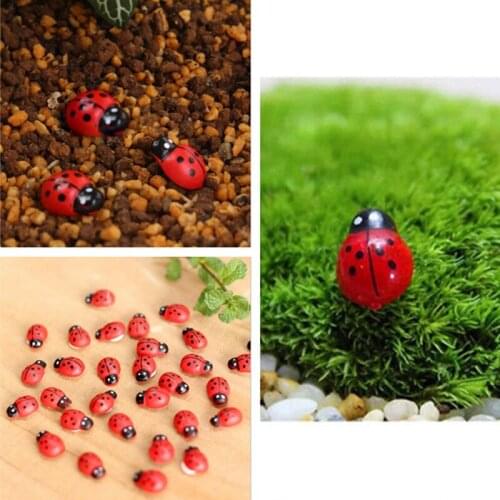 10Pcs Coccinella Septempunctata Resin Crafts DIY Little Garden Decor Miniature Decorations